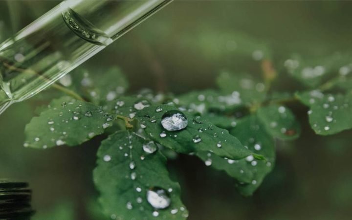 TopBanner_DrDana_Spa