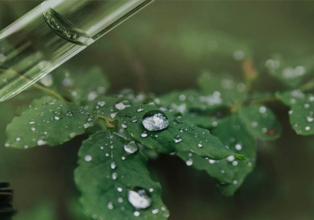 TopBanner_DrDana_Spa